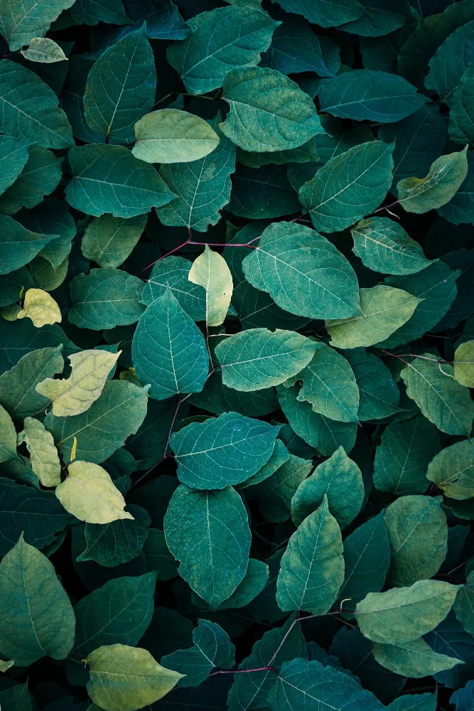 IDuero-Naturaleza-Post