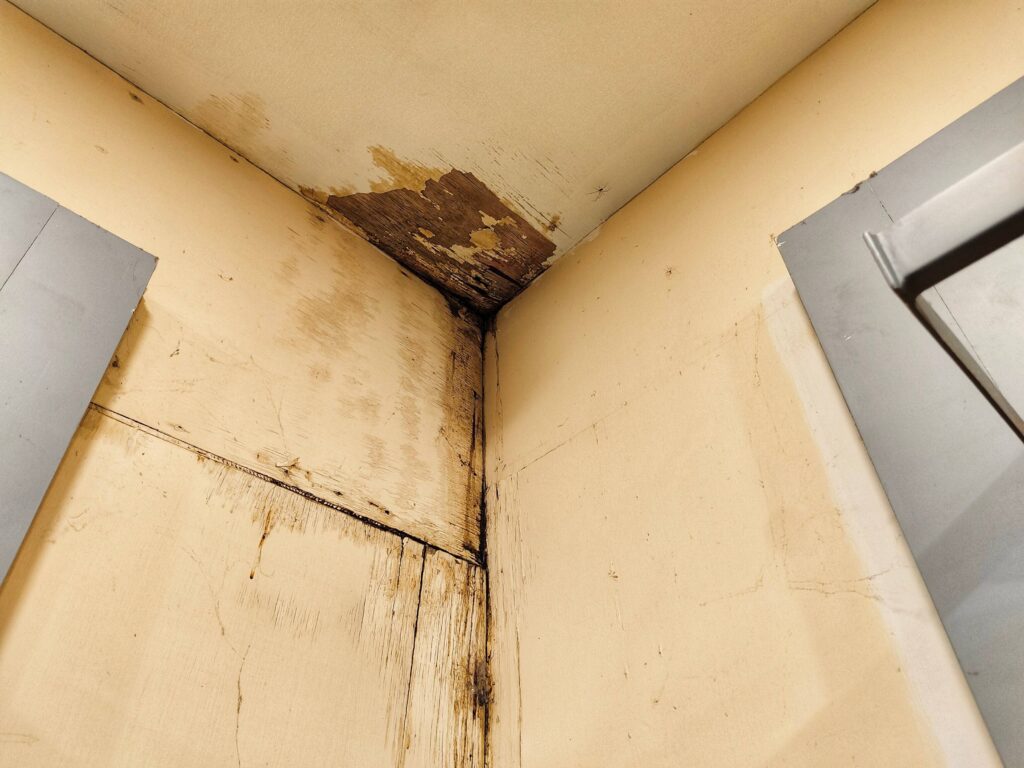 Humedades en vivienda arrendada