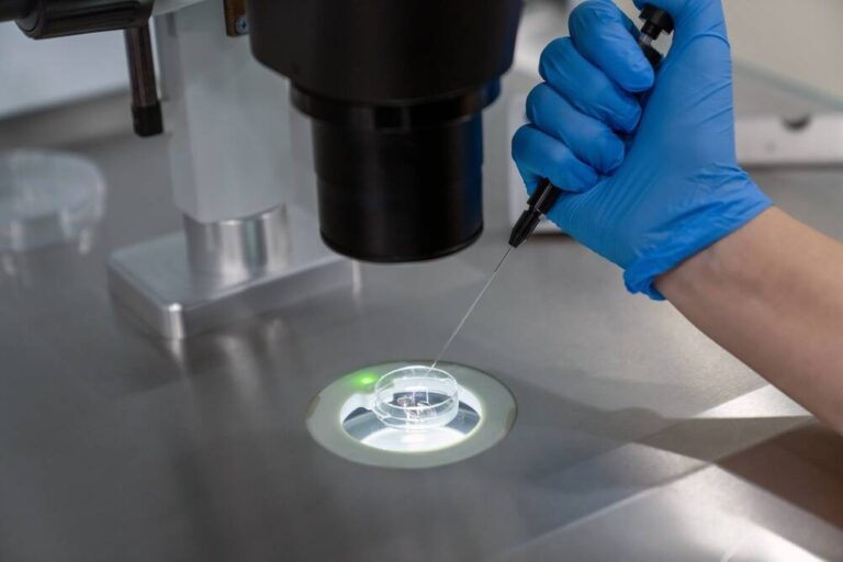 Fecundación asistida - consentimiento