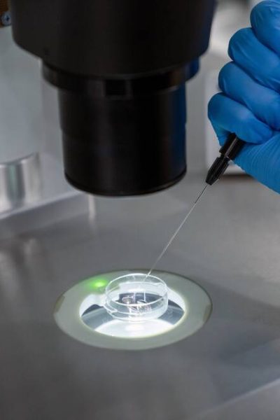 Fecundación asistida - consentimiento