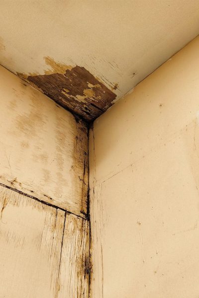 Humedades en vivienda arrendada