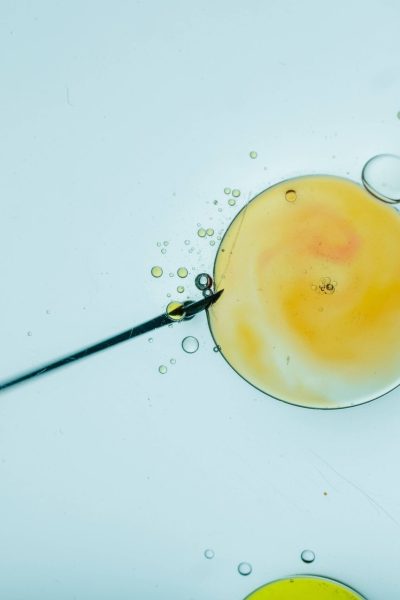 Reproducción asistida