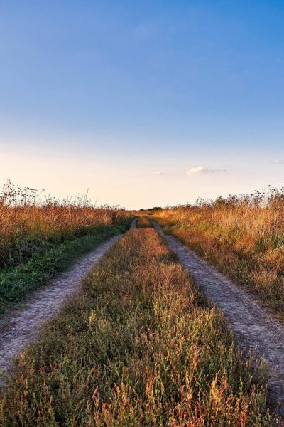 Servidumbres sobre una finca
